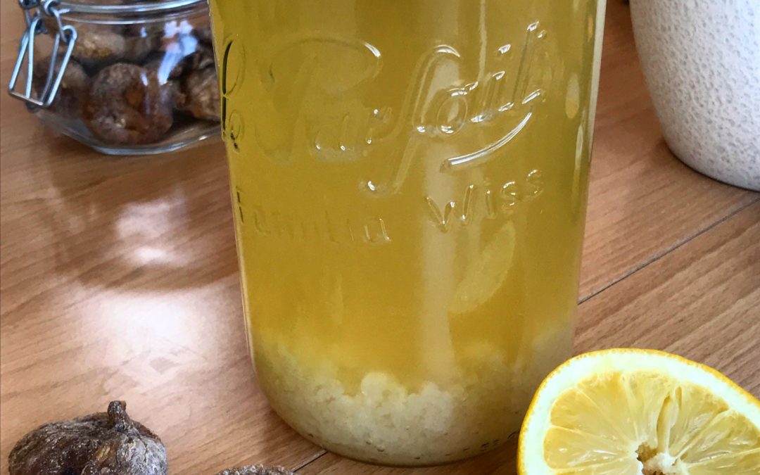 Recette du Kéfir de fruits